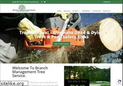 Sites similar to aztreedoctor.com