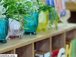 Sites similar to b-company.co.jp