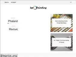 Sites similar to b-p-painting.com