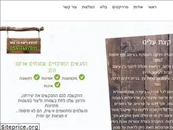 Sites similar to b-t.co.il
