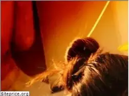 Sites similar to baanthaimassageanddayspa.com.au