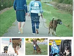Sites similar to baapet.com