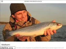 Sites similar to baarsvissen.nl
