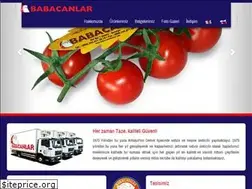 Sites similar to babacanlardemre.com