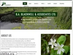 Sites similar to bablackwell.com