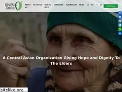 Sites similar to babushkaadoption.org