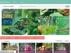 Sites similar to babushkinadacha.ru