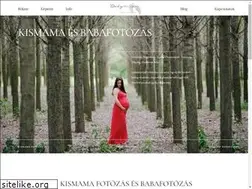 Sites similar to babybellstudio.com