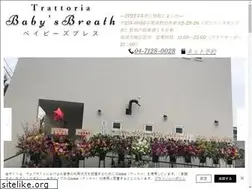 Sites similar to babysbreath2008.com