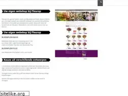 Sites similar to baccarabloemsierkunst.nl