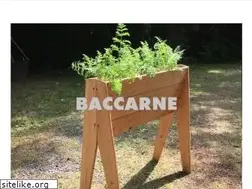 Sites similar to baccarne.be