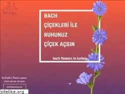Sites similar to bachflowersinturkey.com