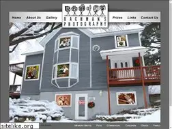 Sites similar to bachmansphotography.com