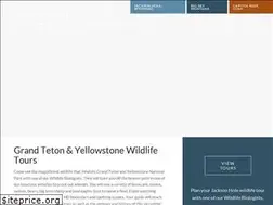 Sites similar to backcountrysafarisjh.com