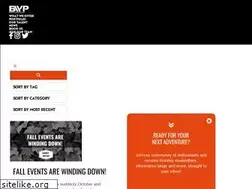 Sites similar to backwoodspromo.com