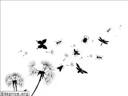 Sites similar to backyardbiodiversity.org