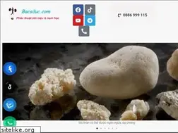 Sites similar to bacsiluc.com