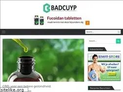 Sites similar to badcuyp.nl
