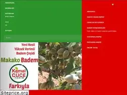 Sites similar to bademfidani.net