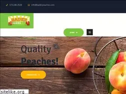 Sites similar to baderpeaches.com