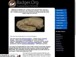 Sites similar to badger.org