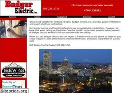 Sites similar to badgerelectricinc.com