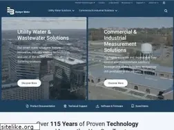 Sites similar to badgermeter.de