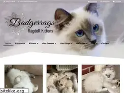 Sites similar to badgerrags.com