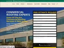 Sites similar to badgerroofing.com