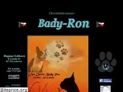 Sites similar to bady-ron.com