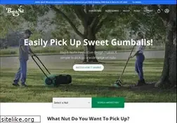 Sites similar to baganut.com