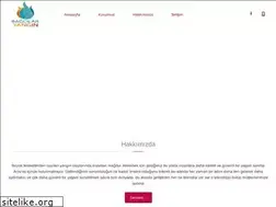Sites similar to bagcilaryangin.com