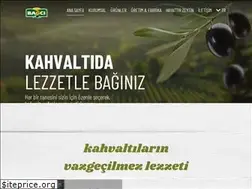 Sites similar to bagcizeytin.com