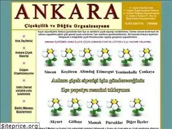 Sites similar to baglumcicek.com