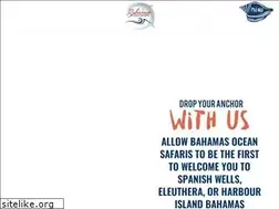 Sites similar to bahamasoceansafari.com