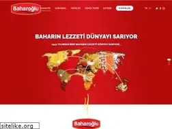 Sites similar to baharoglu.com.tr