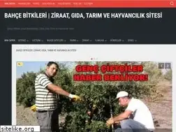 Sites similar to bahcebitkileri.org