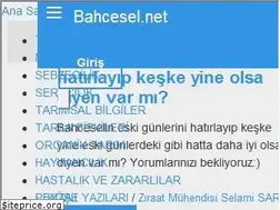 Sites similar to bahcesel.com