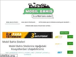 Sites similar to bahiscebinde.com