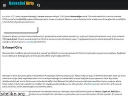 Sites similar to bahsegelgiris.net