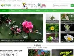 Sites similar to baidu456.com