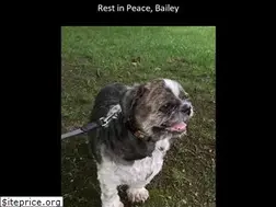 Sites similar to baileydakota.com