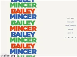 Sites similar to baileymincer.com