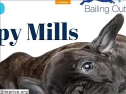 Sites similar to bailingoutbenji.com