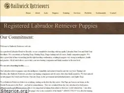 Sites similar to bailiwickretrievers.com