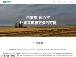 Sites similar to baimaodai.com
