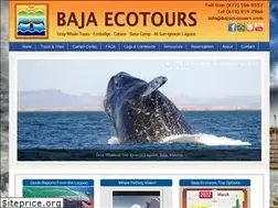 Sites similar to bajaecotours.com