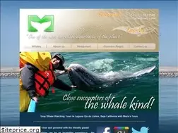Sites similar to bajagraywhales.com