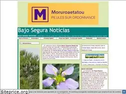 Sites similar to bajo-segura.com