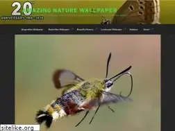 Sites similar to bakgrunder.com
